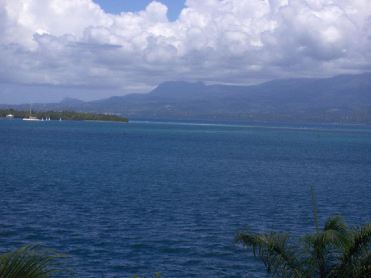 Hotel Saint John Perse Pointe-à-Pitre Esterno foto